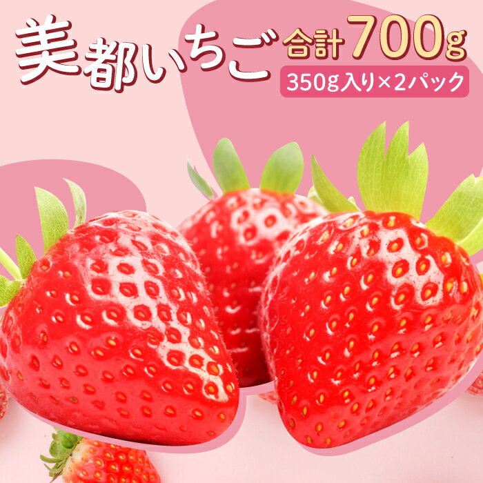 【ふるさと納税】 先行予約 美都いちご 350g×2パック 果物 フルーツ 苺 かおりの 紅ほっぺ 期間限定 季節限定 早期予約 冷蔵 特産品 お取り寄せ グルメ