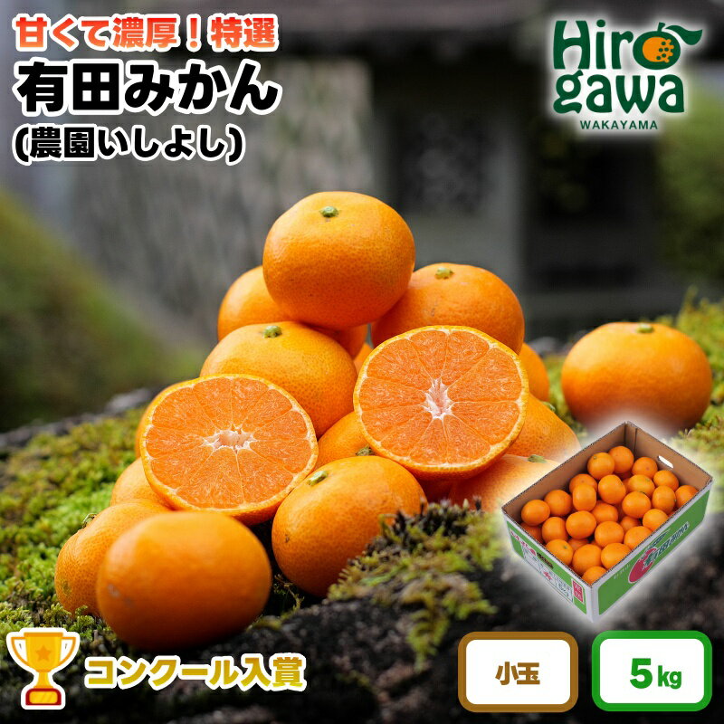 【ふるさと納税】 有田 みかん 小玉 5kg 【 創業120年 農家直送 】 / 温州みかん 有田みかん 甘い 小粒 和歌山 柑橘 12000円 ※11月中旬～1月中旬に順次発送 //mandarin
