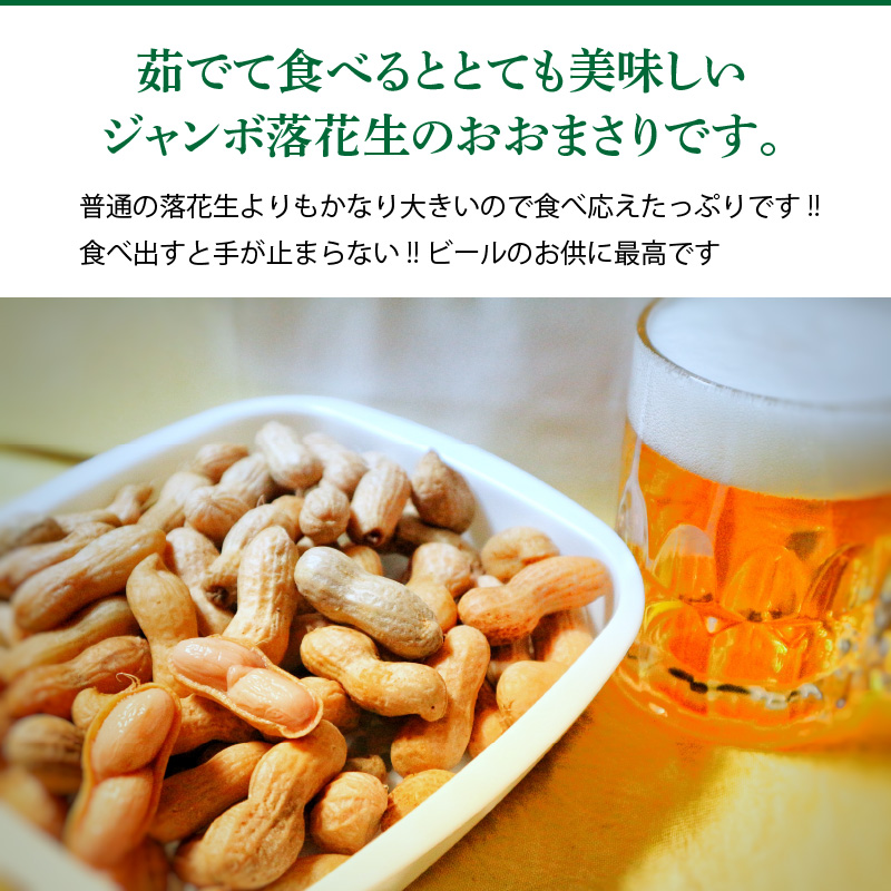 生落花生 おおまさり 2kg とれたて 耕地の美味しい野菜シリーズ第1弾　H132-028