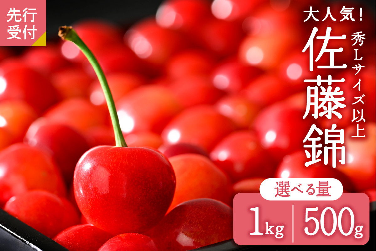 
            ※選べる容量※【令和7年産】さくらんぼ「佐藤錦」秀Ｌ以上 500g～１kg バラ詰【JAさがえ西村山】
          