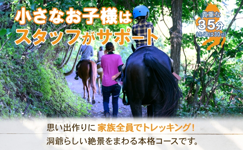 北海道 ファミリートレッキング＆Winterファミリートレッキング 乗馬 体験 約35分 ホース トレッキング 絶景 自然 貴重 体験 経験 景色 ふれあい 血統馬 初心者 本格的 お子様 大人 レイクトーヤランチ 洞爺湖 