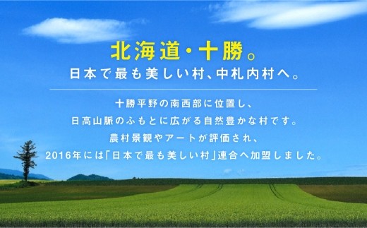 村内在住画家によるメルヘンチックな絵画「北国の詩シリーズ」F3サイズ①[X15-5]
