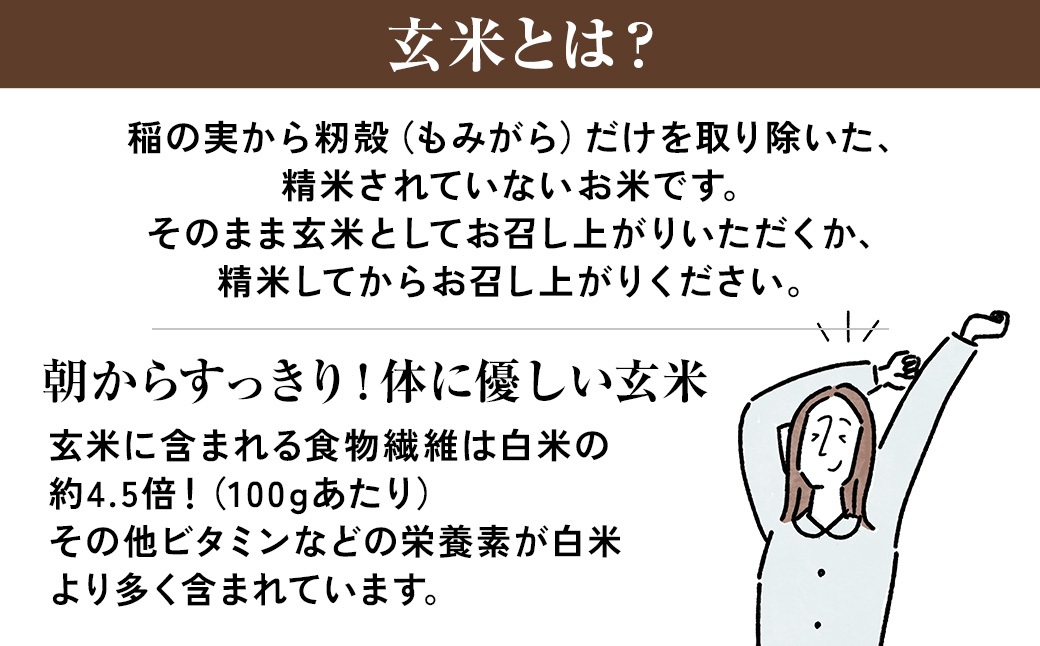【令和8年産 新米 先行予約】近江米きぬむすめ 30kg（玄米）※2026年9月～発送 (173433-40043440)