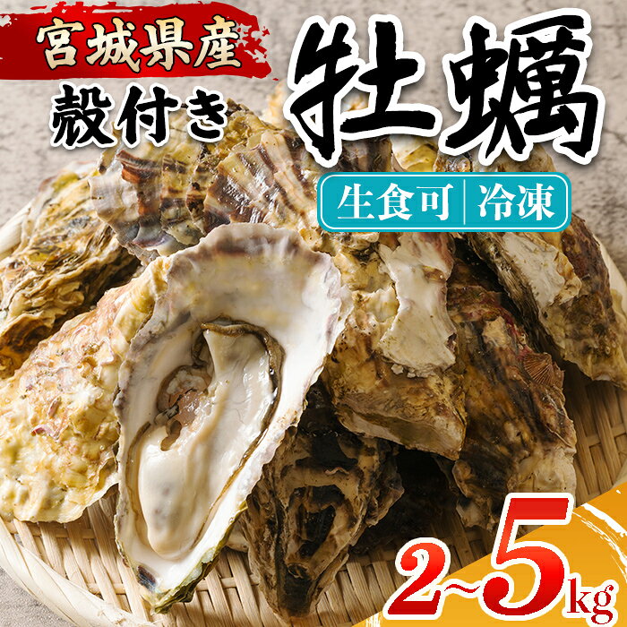 【ふるさと納税】殻付き牡蠣（生食用）冷凍 選べる内容量 2kg～5kg 生牡蠣 宮城県産 牡蛎 牡蠣 カキ かき 生食 オイスター カキフライ 牡蠣鍋 海鮮 国産 魚貝類 バーベキュー BBQ【カタクチ商店株式会社】ta734・ta735・ta736・ta737