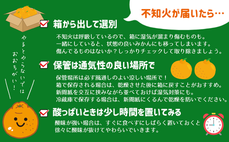 ≪訳あり≫ 不知火 8kg｜味采市場