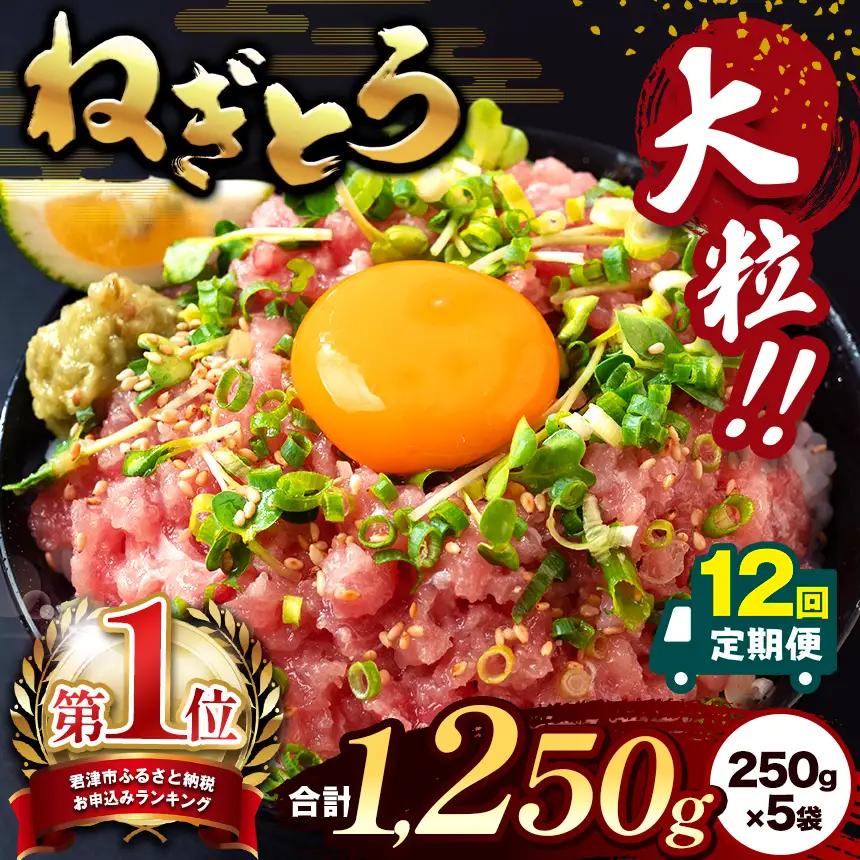 【定期便・12ヶ月】清幸丸水産 大人気！ねぎとろ（250g×5袋）1250g | ネギトロ とろ 鮪 海鮮 魚介 魚 人気 小分け 人気 定番 ご飯 オススメ 千葉県 君津市 きみつ