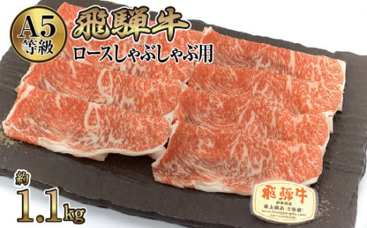 
店主こだわり雌牛 飛騨牛A5等級　ロースしゃぶしゃぶ用　約1.1kg [No.084] ／ 牛肉 ブランド牛 鍋 メス牛 冷凍 岐阜県 特産
