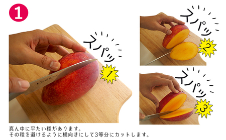 ご家庭用！濃密マンゴー《家庭用・2Kg》【2024年発送】農家さんより直送！
