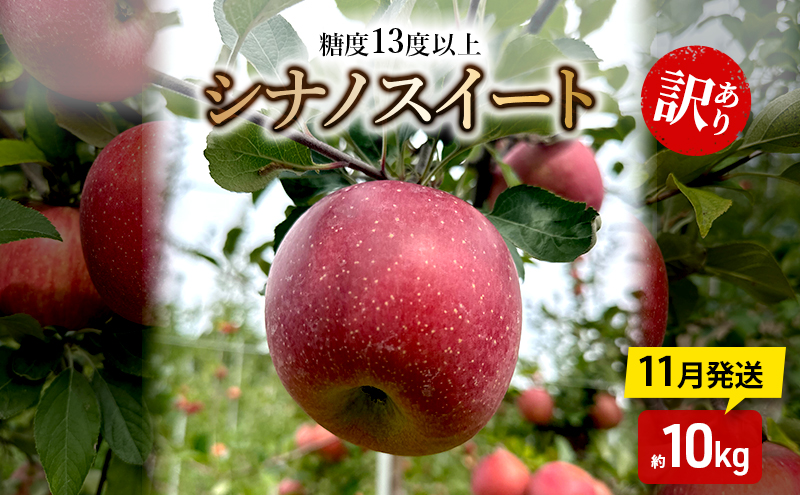 りんご【11月発送】糖度13度以上 訳あり 家庭用 シナノスイート 約10kg【青森りんご】