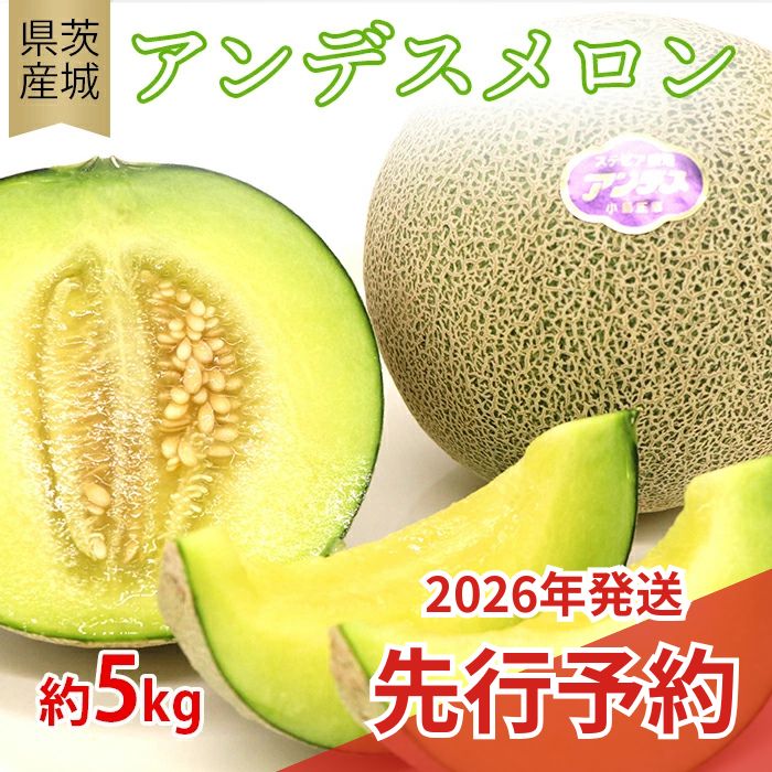 【ふるさと納税】608 アンデスメロン【秀品】約5kg（3～5玉）先行予約 フルーツ 茨城 茨城県産 人気 果物 メロン 【事業者：小島 正幸】