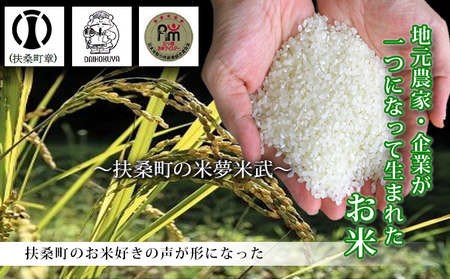 扶桑町の五ツ星マイスター監修のお米　米夢米武(マイムマイム)10kg（5kg×2） 