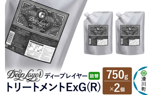 DeepLayer ディープレイヤー トリートメント ExG (R) 【詰替】 750g×2個 [まとまり パサつき なめらか 手触り スルスル髪 ふんわり 細毛 軟毛 ダメージ毛 ブリーチ毛 リンス コンディショナー]