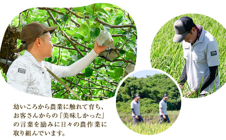 令和7年産 米 にこまる 約10kg (5kg×2袋) こめ コメ 白米 上田農園《10月中旬-11月中旬頃出荷》 熊本県 荒尾市 米 白米 こめ