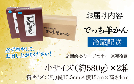 【先行予約】大野市の名水を使った冬限定の「でっち羊かん」（手作り菓子工房 豊栄堂の水ようかん）小サイズ（580g）×2箱【11月以降順次発送】