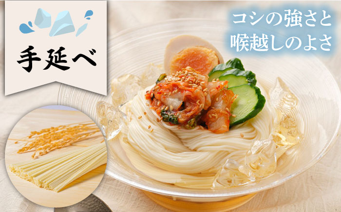 【6回定期便】五彩麺 セット 19束 / そうめん 素麺 黒ごま 梅 うに よもぎ / 麺 乾麺 食べ比べ 詰め合わせ カラフル / 南島原市 / のうち製麺 [SAF031]