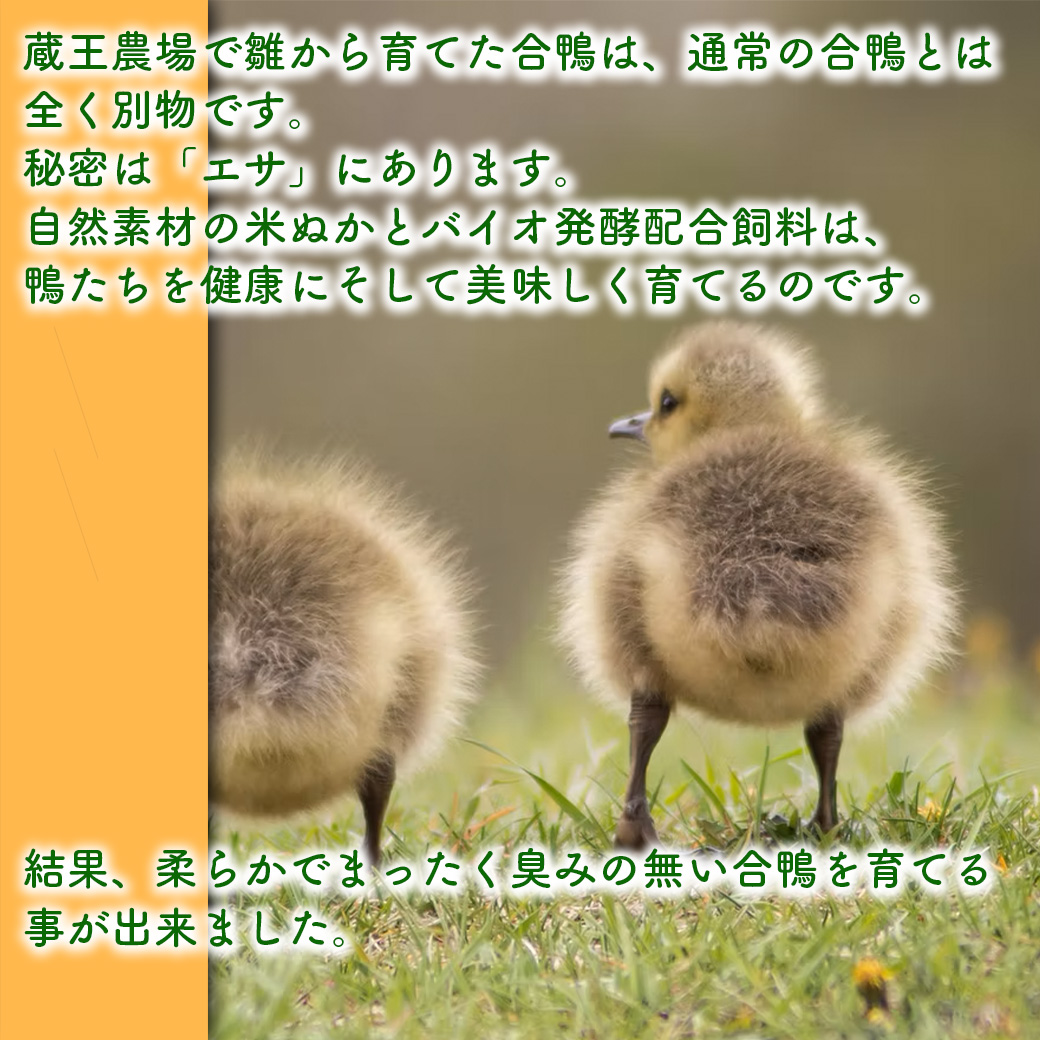 蔵王合鴨　スモーク　ももブロック　【04301-0787】_イメージ3