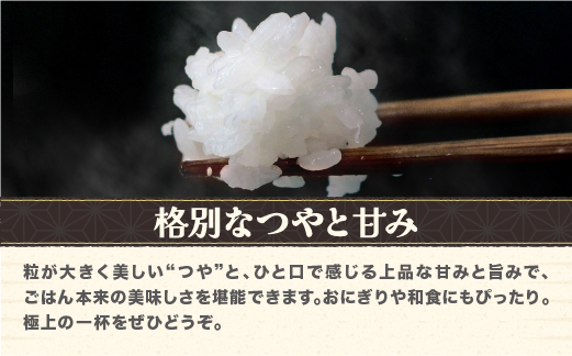 令和7年産 玄米 毎月定期便 つや姫 10kg×3回 配送開始時期選べる 2025年産 山形県尾花沢市産 送料無料 ja-tsgta10-tm