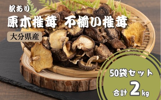 【訳あり】 原木椎茸 不揃い椎茸 50袋セット | 椎茸 しいたけ シイタケ きのこ キノコ 不揃い 乾燥しいたけ お料理 小分け プレゼント 袋詰め 九州 大分県 津久見市  送料無料