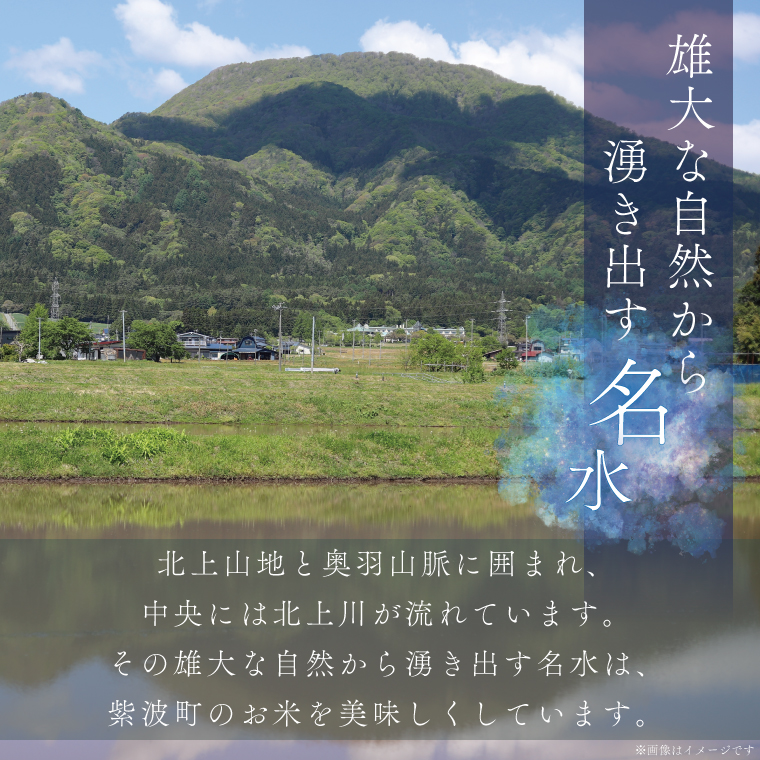 ★1月より順次発送★ 米 無洗米 5kg「令和7年産 銀河のしずく」特A受賞 お米 ご飯 ライス 岩手県産 (AE160-01) 単品 無洗米 5kg
