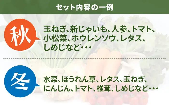 【6回定期便】お試し野菜セット 8品目 詰め合わせ / 野菜 やさい ヤサイ 旬 新鮮 / 南島原市 / 吉岡青果[SCZ029]