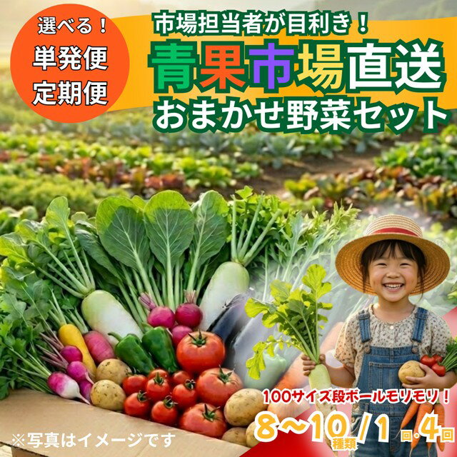 【ふるさと納税】【市場直送】【選べる単発便・定期便】市場担当者が目利き！青果市場直送おまかせ旬の野菜セット