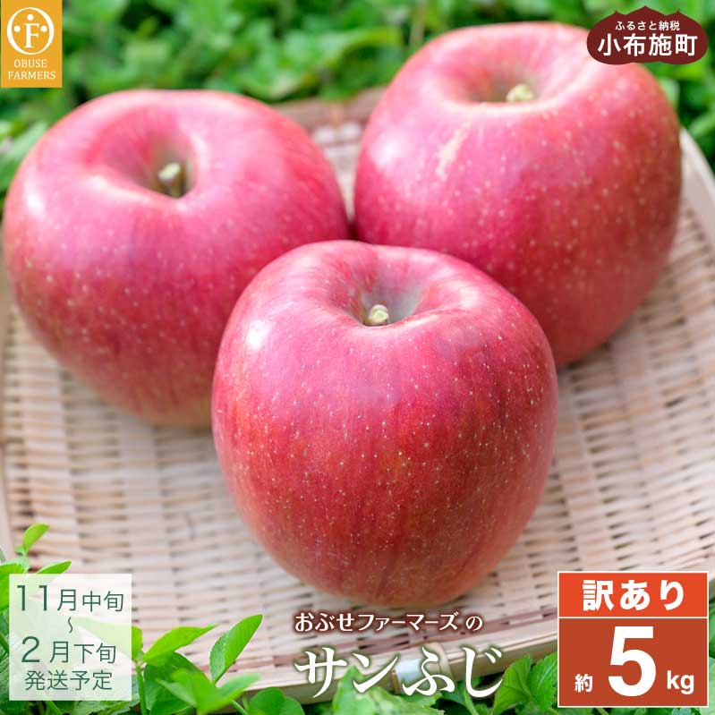 【訳あり】 サンふじ  約5kg 11～18玉 ［おぶせファーマーズ］ 果物 フルーツ りんご 不揃い 規格外 家庭用 林檎 リンゴ ふじ 長野県 信州 数量限定 令和7年産 【2025年11月中旬～2026年2月下旬発送】