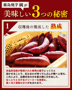 鹿島焼芋　純　3kg （1.5kg×2箱）(KBK-26)