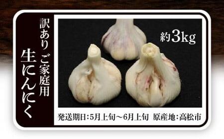 訳あり ご家庭用 生にんにく 約3kg【2026-5月上旬～2026-6月上旬配送】