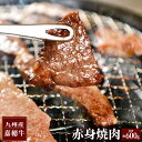 【ふるさと納税】嘉穂牛 赤身焼肉 約600g 国産 九州産 牛肉 冷蔵 焼き肉 BBQ 送料無料