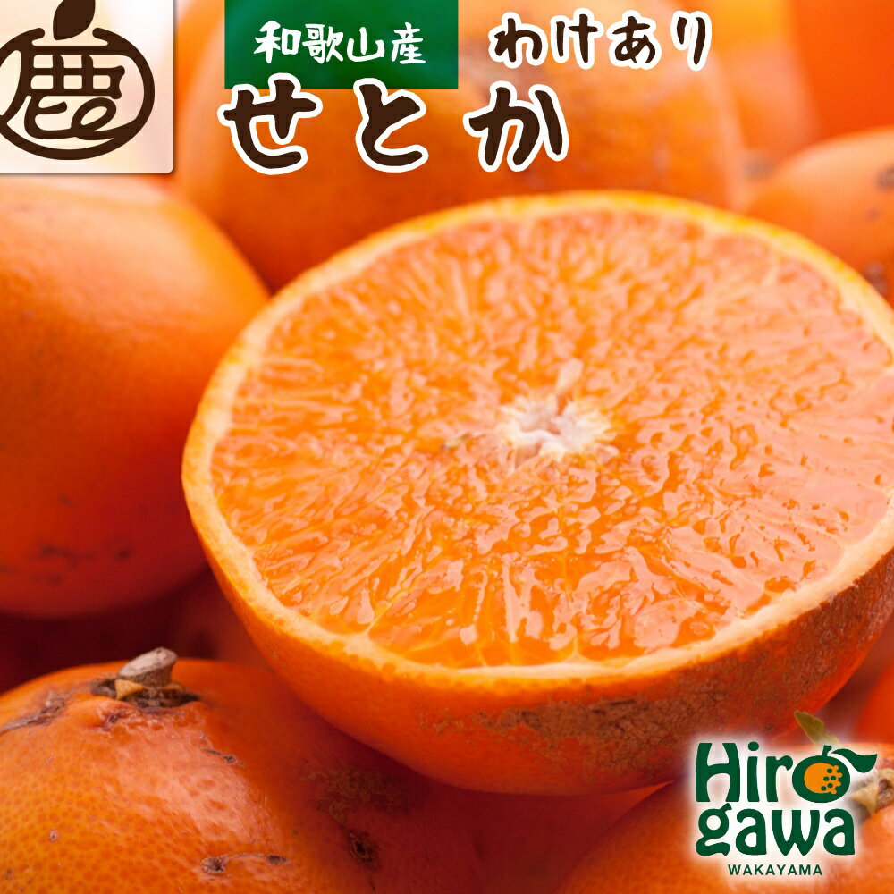 【ふるさと納税】 家庭用 せとか 光センサー / 訳あり 甘い 和歌山 柑橘 1kg 5kg 10kg ※2月上旬〜4月上旬頃に順次発送予定 ※北海道・沖縄・離島への配送不可 //dekopon