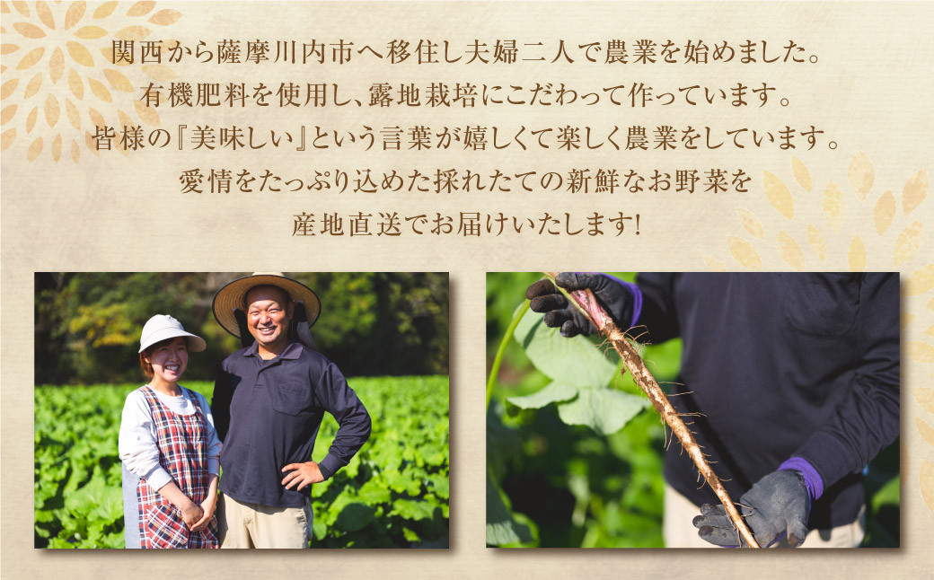 鹿児島県産 土付き ごぼう 約3kg