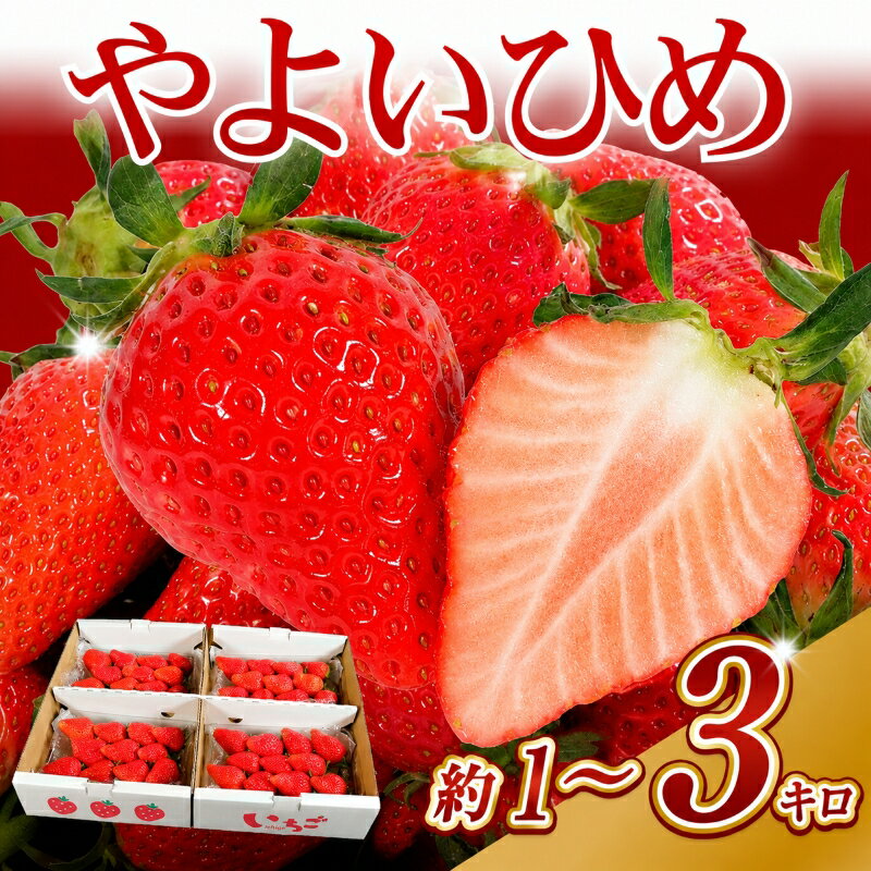 【ふるさと納税】 いちご やよいひめ 約 1kg ~ 3kg 【 選べる容量 】 先行予約 ( 1パック 250g ) 産地直送 産直 ストロベリー 果物 くだもの フルーツ ジャム ケーキ いちご大福 苺大福 朝摘み 新鮮 送料無料 国産 千葉県 銚子市 神原いちご園 【2027年1月~5月上旬発送】