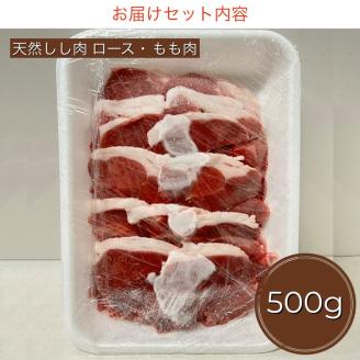 【期間限定】丹波亀岡 天然しし肉 セット 500g《ロース もも 焼肉 BBQ バーベキュー ぼたん鍋 すき焼き 豬 猪肉 ジビエ》