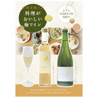 ふるさと納税 若狭町 福井県若狭町　Japanese apricot sparkling wine　750ml |  | 02