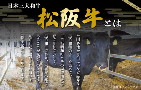 松阪牛 200g×3P 希少部位ネクタイ松阪牛 SS100