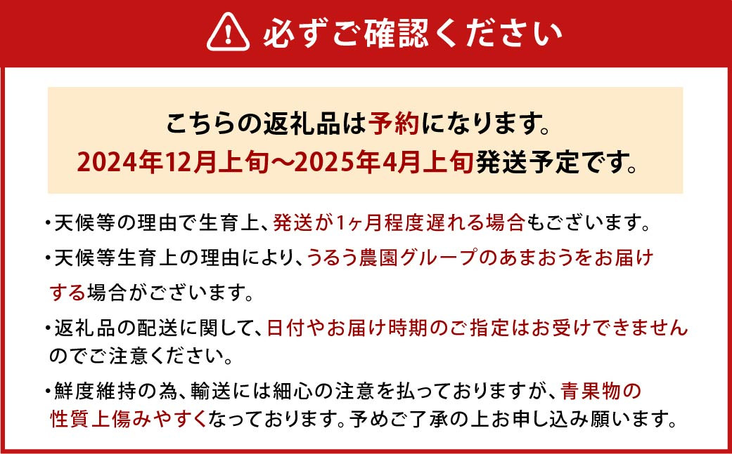 【アフター保証】うるう農園 あまおう DX等級 4パック （約1140g）