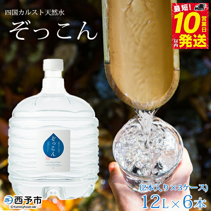 【ふるさと納税】＜四国カルスト天然水ぞっこん (12L×2本)×3ケース 計6本＞ 飲料 水 みず 中硬水 弱アルカリイオン水 ガロンボトル ウォーター バナジウム 備蓄 防災 キャンプ アウトドア 国産 特産品 ぞっこん四国 愛媛県 西予市【常温】『最短10営業日以内に発送予定』