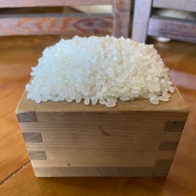 ふるさと納税 大和高田市 お米　ヒノヒカリ　(白米)10kg |  | 01