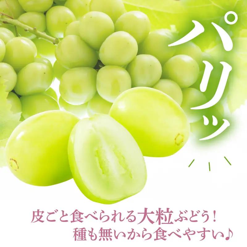 【先行予約】 令和8年産 シャインマスカット 1房 約700g 山形