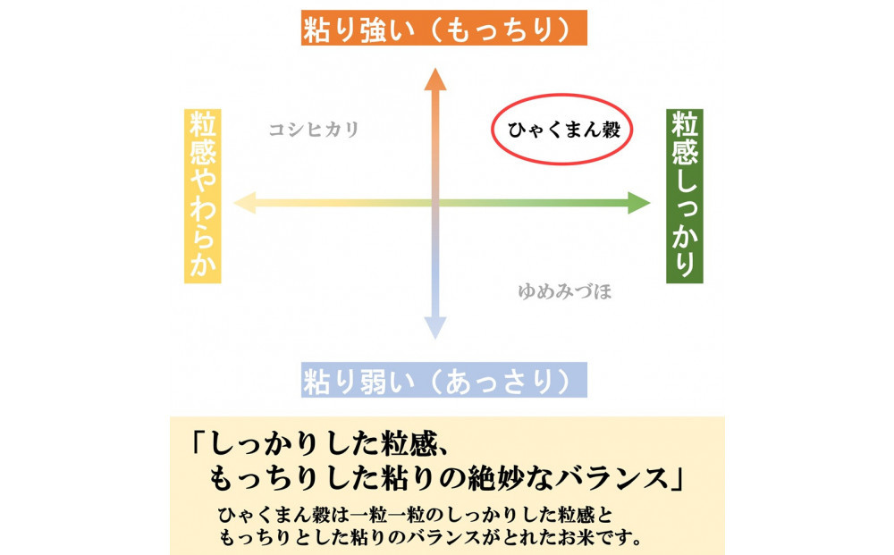 【令和8年産】【日本農業賞大賞】ひゃくまん穀9kg(4.5kg×2袋)精白米 能美市 お米 精米銘柄米 精米したて 一等米