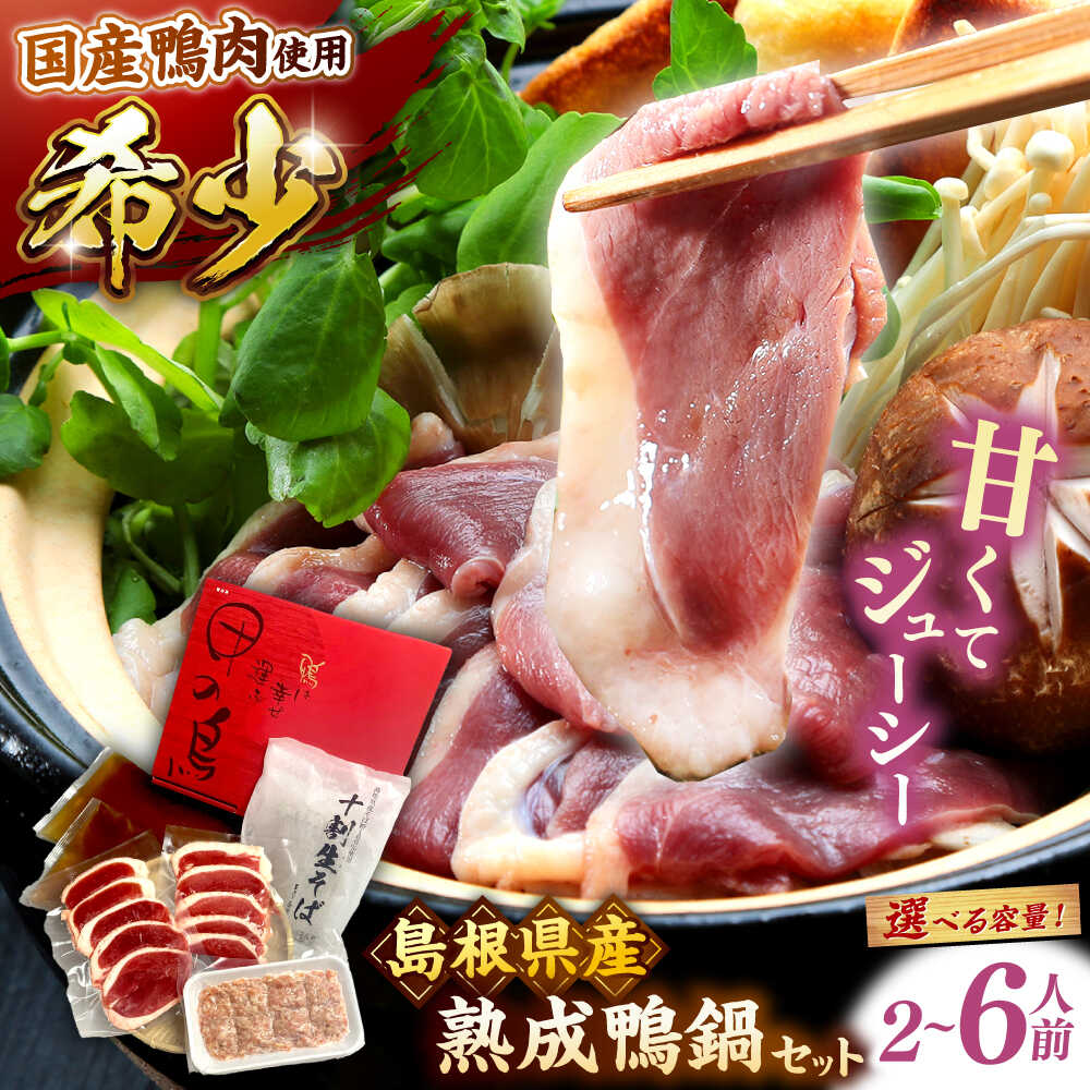【ふるさと納税】【選べる容量】【先行予約】【2026年1月中旬順次発送】 鴨鍋 希少な国産鴨肉！島根県産野草ミネラル熟成鴨の鴨鍋セット（2〜6人前）十割蕎麦 そば 鴨鍋 かも鍋 鴨肉 鍋 蕎麦 そば 十割そば 出雲そば 島根県雲南市/鴨専門店カナール[AIDC002]