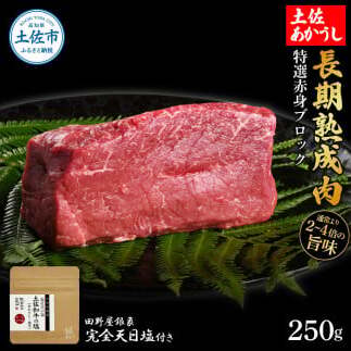 特選 赤身ブロック 土佐あかうし 長期熟成肉 250g 田野屋銀象 完全天日塩付き 赤身 牛肉 ブロック 肉 お肉 和牛 国産 牛 熟成肉 ブロック肉 豪華 贅沢【株式会社LATERAL】 [BQAU