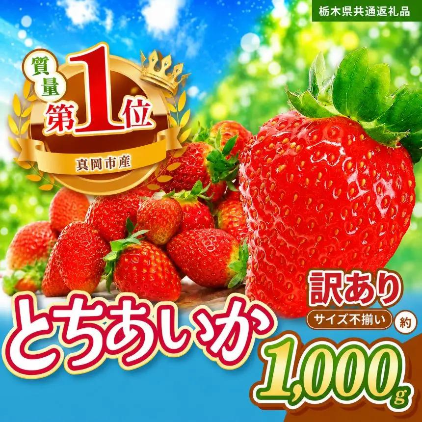 【先行予約】【栃木県共通返礼品】訳ありいちご サイズランダム 約1kg | 栃木県 那珂川町 送料無料