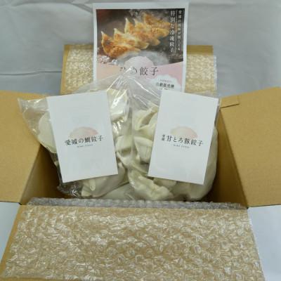 ふるさと納税 松山市 愛媛甘とろ豚餃子(30個)愛媛の鯛ぎょうざ(30個) |  | 02