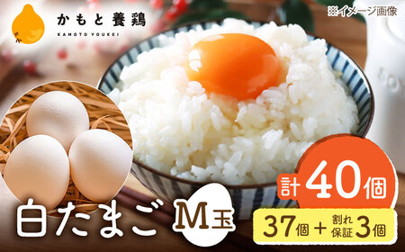 白たまごM玉卵40個(37個＋3個割れ保証)山鹿卵ZCA009