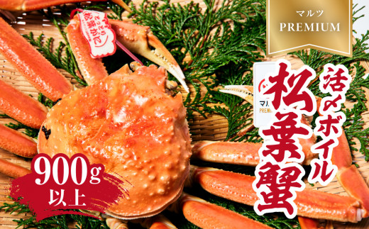 【マルツPREMIUM】タグ付き 活〆ボイル松葉蟹 900g以上 【北海道・沖縄・離島配送不可】 松葉ガニ 松葉がに 蟹 カニ かに 境港 マルツ 鳥取県日野町 60000011