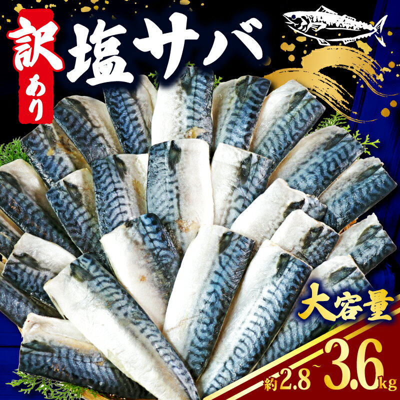 【ふるさと納税】 訳あり 塩さば 【選べる容量】 約2.8kg ~ 約3.6kg さば 鯖 フィレ 切り身 魚 小分け 魚介 弁当 惣菜 おかず つまみ 塩焼き 味噌煮 味噌焼 規格外 切身 冷凍食品 贈り物 海鮮 魚貝 冷凍 食品 ふるさと納税 送料無料 千葉県 銚子市 辻野