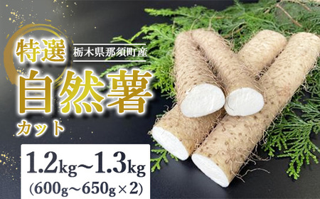 那須町産 自然薯（カット）1.2kg～1.3kg | とろろ〔P-152〕 ※2026年12月～発送