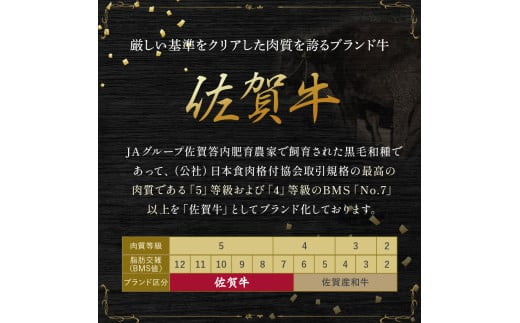 T23x1 佐賀牛 ローストビーフ 定期便 (年6回 奇数月発送) ブロック 国産牛 和牛 ブランド牛 牛肉 肉 高級 人気 おすすめ 佐賀県 太良町