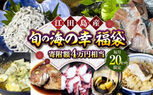 【何が届くかお楽しみ】旬の海の幸福袋 寄附額4万円相当 魚介類 海産物 海鮮 刺身 広島 海鮮 魚介類 冷凍 水産加工品 海藻 鮮魚 さかな 刺身 詰め合わせ セット 小分け 海鮮丼 加工品 惣菜 刺身 真空パック 小分け タコ たこ 蛸 はまち ハマチ 魬 しらす シラス 料理 和食 時短 便利 ギフト 広島県産 人気 送料無料 江田島市/七宝丸 [XBY007]